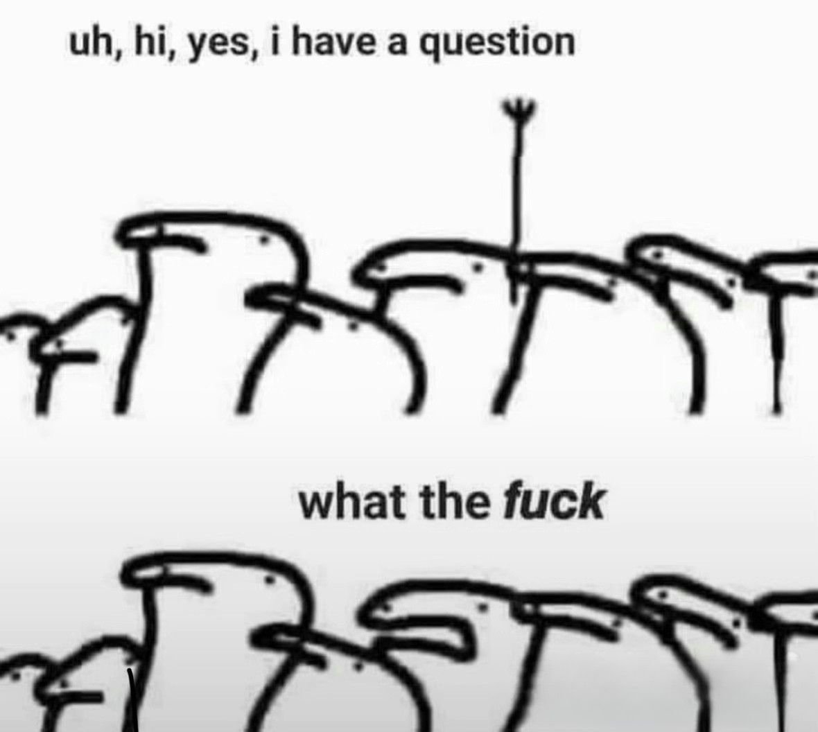 yes-I-have-a-question-what-the-fuck